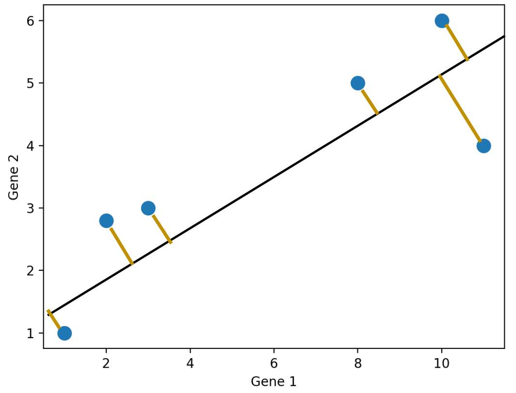 Projecting Gene data onto an arbitrary line