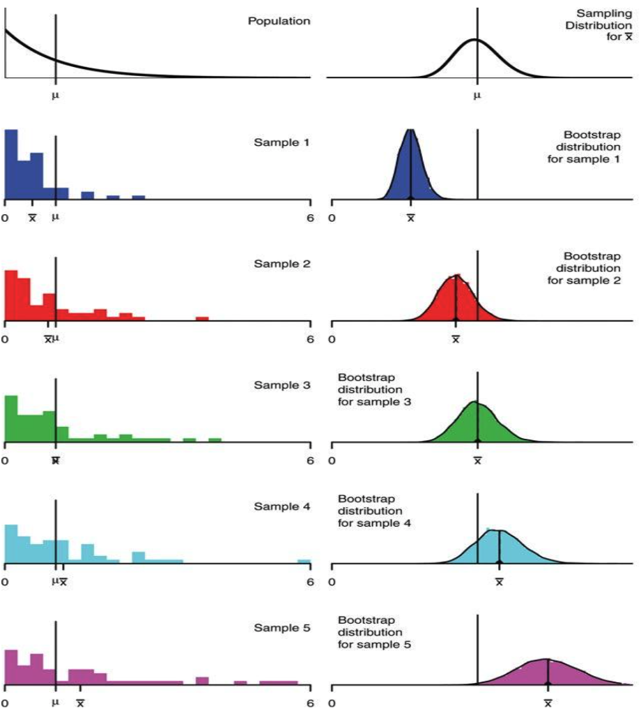 The population and the sampling distribution for the mean is shown first. Then 5 different samples are shown. One sample's bootstrap distribution doesn't contain the population mean at all. The other four samples' bootstrap distributions do contain the population mean with one centered on it, two clearly containing it, and one containing it in one of its tails.