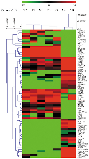 Hierarchical clustering dendrogram example 2