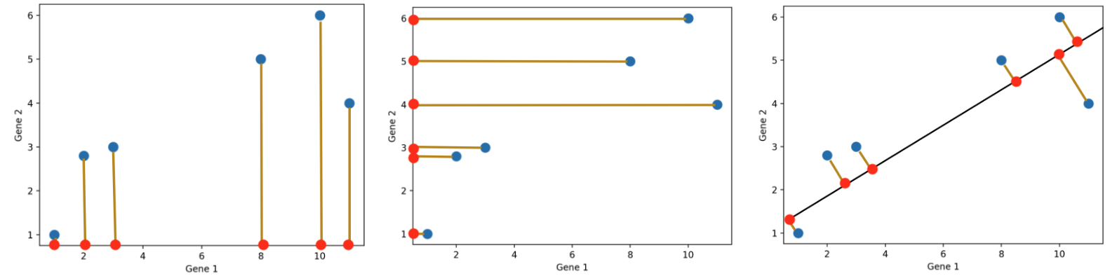 Three different projections