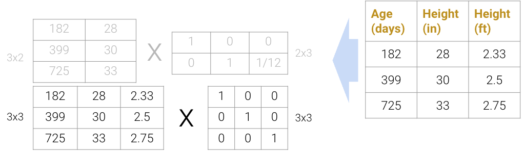 Matrix Decomposition