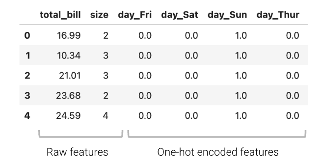 Design matrix showing raw features highlighted separately from one-hot encoded features.