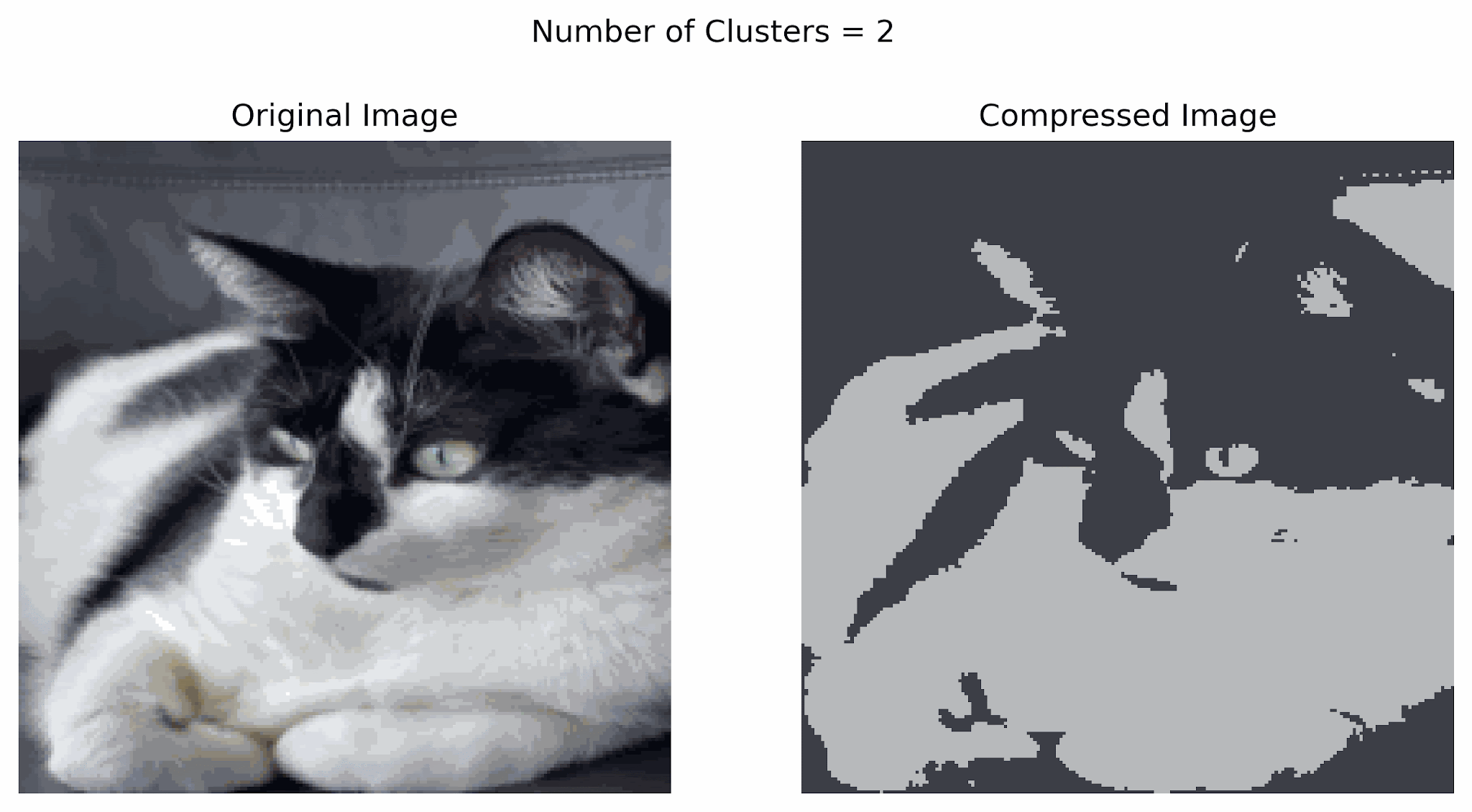 pishi compression gif where you can see as the number of clusters increases, the picture becomes clearer.