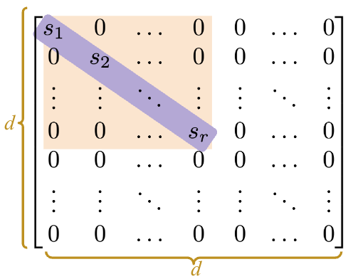 A dxd matrix where all values are 0 except along the diagonal they are label s sub 1 to s sub r and then the remainder of the diagonal is 0s.