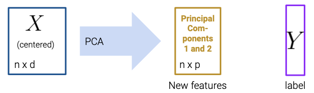 Overview of the process. You start out with a n x d matrix X, do PCA, obtain new features in a n x p matrix and eventually a column vector Y representing the labels.
