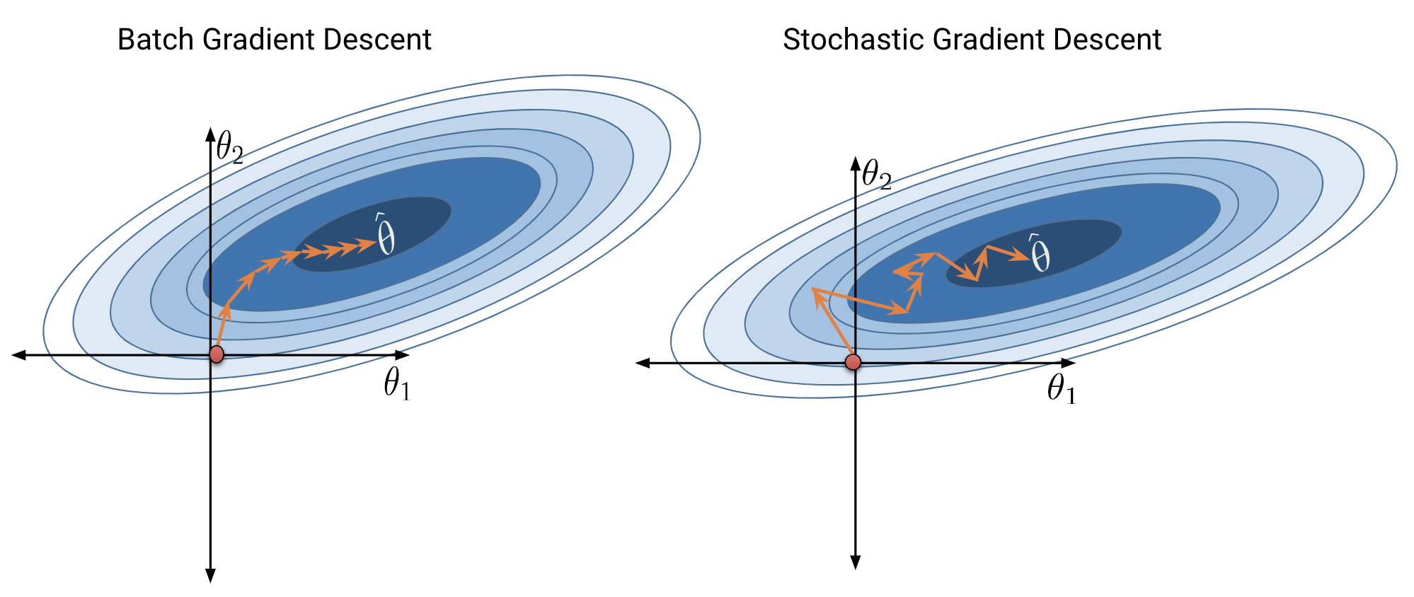 Comparison of batch gradient descent and stochastic gradient descent. Batch gradient descent moves smoothly whereas stochastic gradient descent bounces back and forth.