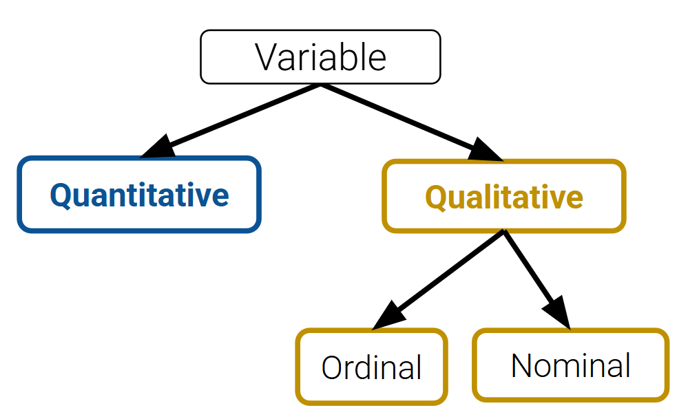 Variables can either be qualitative or quantitative. If a variable is qualitative, it can be either ordinal or nominal