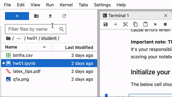 "Gif showing exactly where to click to run all cells