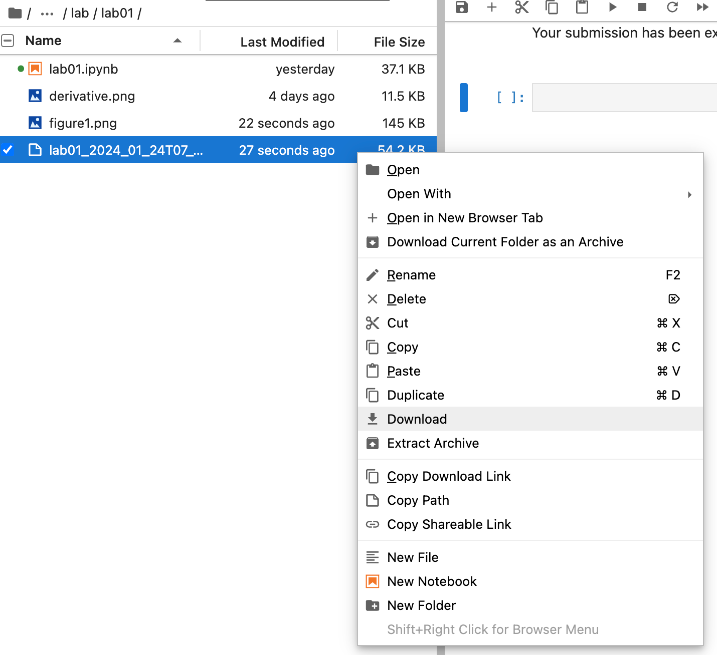 After right/force clicking on the zip file, click 'Download' which is highlighted in this screenshot with a red box.