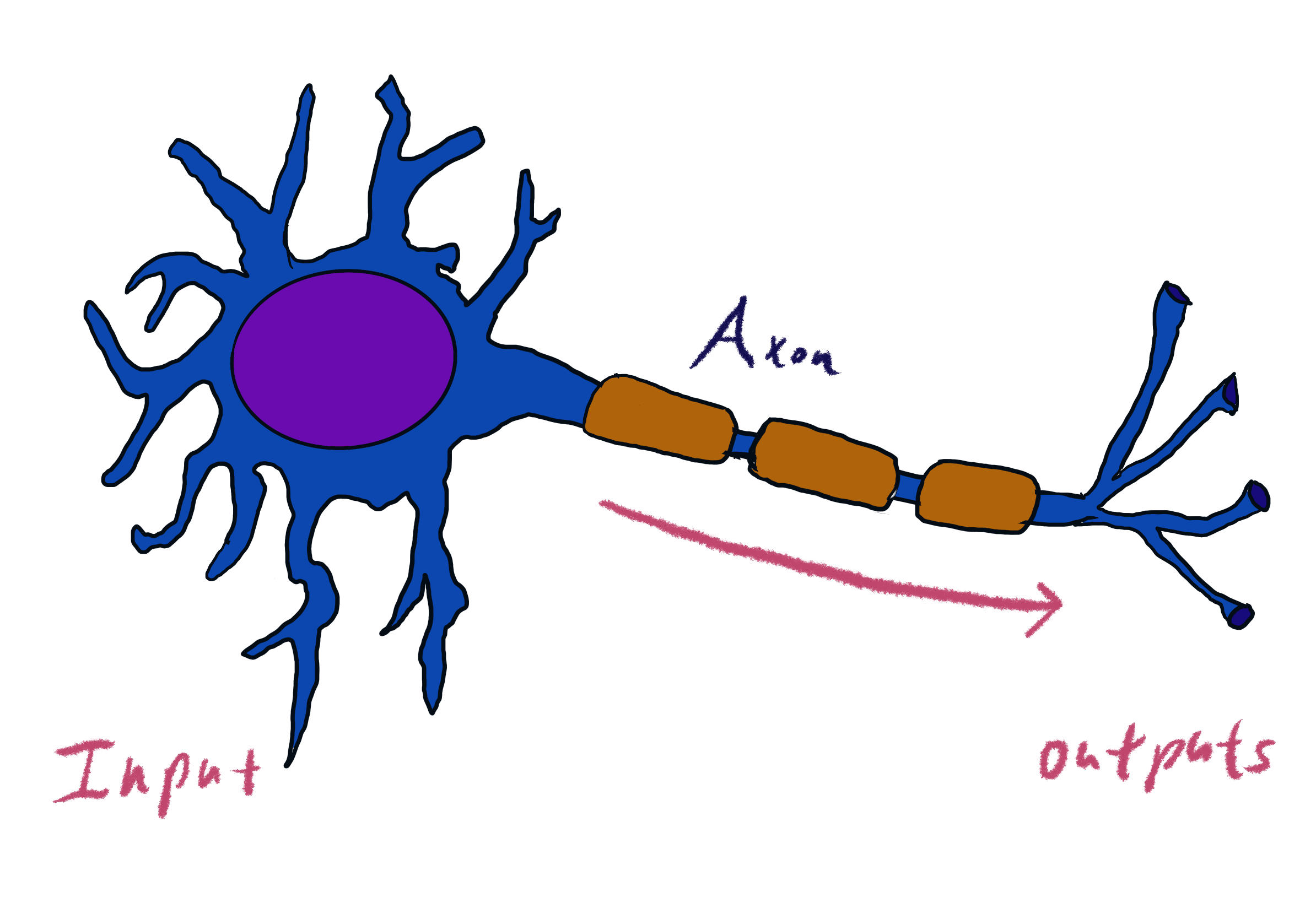 Simple Neuron